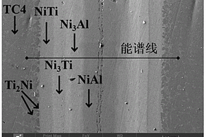 TC4/Ni/Al叠层复合材料及其制备方法