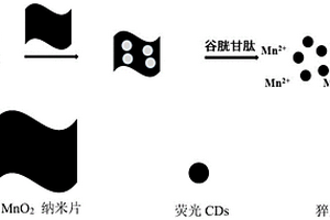 氮掺杂碳量子点与二氧化锰复合材料的制备方法及应用