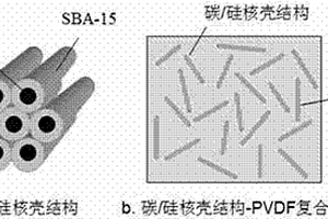 碳/硅核壳结构-聚合物高介电复合材料