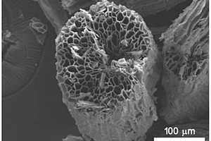 源于丝瓜络的多孔碳及其复合材料的制备方法与应用