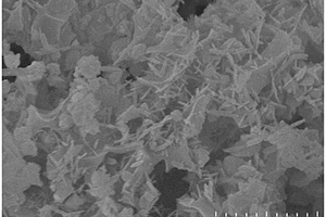 针状Fe-Mn-S三元纳米材料负载多孔生物炭复合材料的制备方法