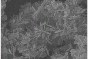 可漂浮FeS-木质素水凝胶纳米复合材料及其制法与应用