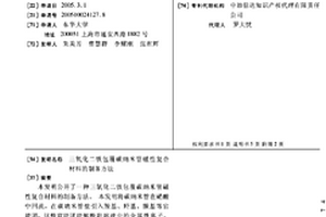 三氧化二铁包覆碳纳米管磁性复合材料的制备方法