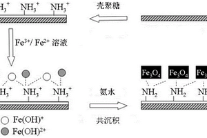 磁响应木材/Fe3O4复合材料的制备方法