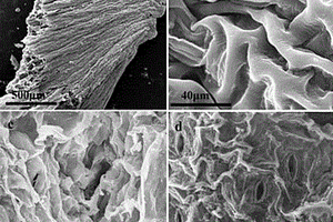 生物模板制备的室内光催化降解甲醛的二氧化钛-硅藻泥复合材料方法
