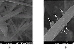 负载纳米碳羟磷灰石的海泡石复合材料及其制备方法和应用