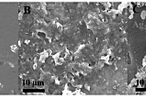 硫化银-还原氧化石墨烯-二氧化钛复合材料及其制备方法和应用