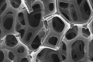 多孔镍基析氢电极复合材料