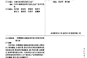 聚酰胺/硅酸盐纳米复合材料及其制备方法