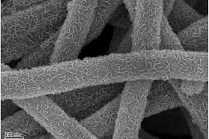 硒化钨/石墨烯/碳纳米纤维复合材料及其制备方法