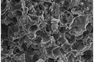 层状双氢氧化物和碱活化生物炭复合材料及其制法和应用
