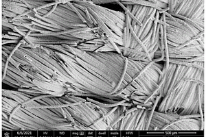自支撑三维微纳结构二硅酸锂复合材料及其制备方法和应用