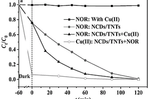 氮掺杂碳点/钛酸纳米管复合材料及其制备方法