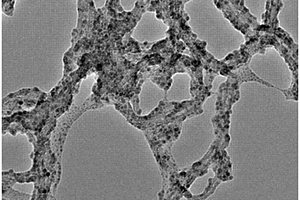 相转移水相硫化铅量子点—碳纳米管复合材料及其制备方法