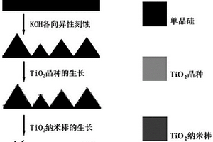 基于P/N异质结协同消反射性能的硅/二氧化钛三维复合材料及应用