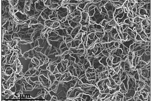 二氧化硅纳米线复合材料及其制备方法和应用