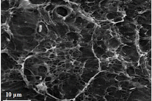 聚乙烯醇-碳纳米纤维柔性复合材料及其制备方法与应用