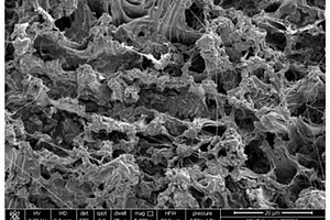 木质素磺酸钙/高密度聚乙烯复合材料及其制备方法