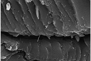 碳纳米管增强不饱和树脂复合材料的制备方法