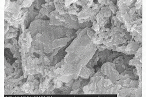 基于纳米石墨片的碳/碳复合材料及其制备方法