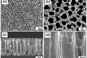 氧化锌-多孔硅复合材料及其制备方法和应用