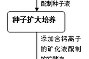 矿化细菌纤维素复合材料的微生物原位制备方法