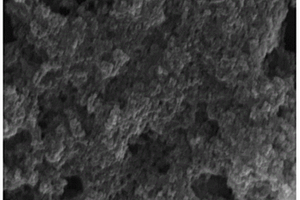 多孔疏松聚苯胺-纳米硅复合材料及其制备方法和应用