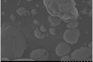 Bi<sub>2</sub>O<sub>3</sub>/剑麻纤维基碳复合材料的制备方法及其应用