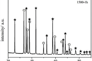 直接发泡Al<sub>2</sub>O<sub>3</sub>-AlN多孔复合材料及其制备方法