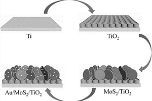 金纳米颗粒修饰硫化钼/氧化钛复合材料及其制备方法