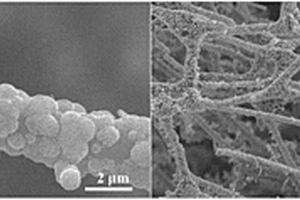 MoS<sub>2</sub>纳米片/碳海绵复合材料及其制备方法及应用