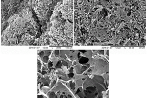 氧化石墨烯/二氧化钛纳米管复合材料的制备方法