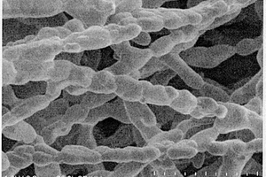 二氧化硅包覆钛酸铜钙纳米纤维的聚合物基介电复合材料及其制备方法