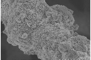 NiCo双氢氧化物纳米线@NiCo双氢氧化物纳米片复合材料及其制备方法和应用