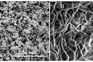 氮化硅纳米线增强多孔氮化硅复合材料及其制备方法