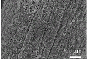 LiFe<Sub>X</Sub>Co<Sub>1-X</Sub>PO<Sub>4</Sub>/N-C/CC复合材料的制备方法