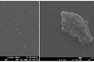 聚芳醚酮树脂或其复合材料超细粉的制备方法