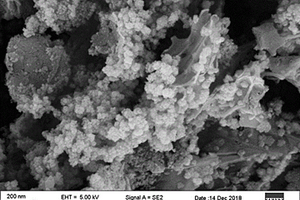 生物质铁碳复合材料的制备及用于催化活化过硫酸钠降解双酚A