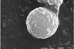 阻燃型PET/纳米碳微球复合材料及其制备方法