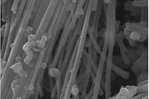 氮掺杂碳包覆二氧化硅纳米管复合材料的制备方法