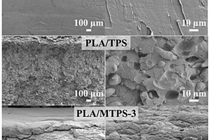 高耐折的聚乳酸/热塑性淀粉复合材料及其应用