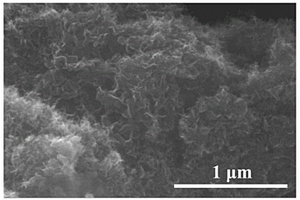 氮、硫共掺杂石墨烯-二硫化钼纳米复合材料的制备方法
