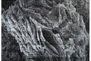 Ag/Ag<Sub>3</Sub>PO<Sub>4</Sub>/ZnTi-LDH复合材料的制备方法