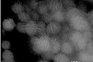 椭球型Fe2O3/NiO纳米复合材料的制备方法