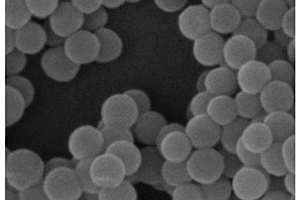 高含量双有机基团修饰的二氧化硅纳米复合材料及其制备方法