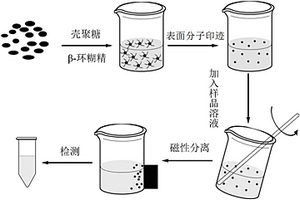 表面分子印迹复合材料及其制备方法和应用