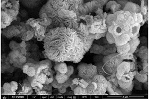 花状二硒化钼/碳纳米管复合材料及合成方法和应用