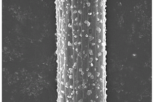 胶体纳米粒子自组装修饰碳纤维、制备方法及碳纤维复合材料