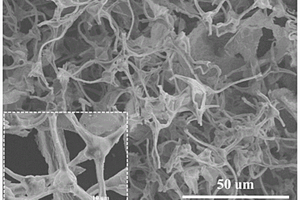 3D多孔类神经元结构的MXene/氮掺杂碳泡沫复合材料及其制备方法