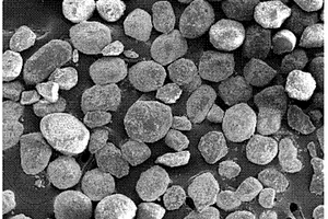 核壳型纳米复合材料及其制备方法